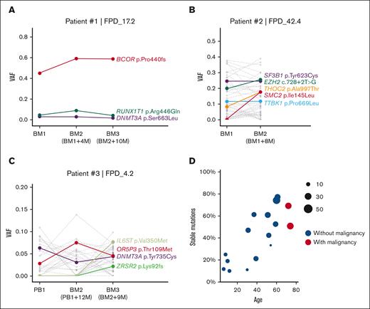 Somatic mutation VAF changes over time and age. (A-C) Somatic mutation VAF changes across samples collected at different time points. Colored dots and lines show mutations in CL and leukemia genes; gray dots and lines represent other somatic mutations. (D) Correlation between patient’s age and percentage of stable somatic mutations (present in at least 2 time points with VAF > 0.01) in all somatic mutations. Dot size indicates the total somatic mutation number in this patient. BM, bone marrow; PB, peripheral blood.