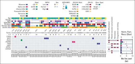 Heatmap of P/LP germline variants in genes related to myeloid cell development and hemostasis. Demographic and clinical data are depicted (top), including percentages of affected family members who developed hematologic malignancy in each family (“n=” denotes the total numbers of family members). The UpSet plots on the right of the heat map show the related functional annotations for each gene. The dots indicate that the gene in that row is involved in the functional categories listed at the top. The bar plots on the far-right show numbers of families (Mut. Fam. Count) that carry germline mutations in each gene (scale labeled at the bottom of the plot). Protein size–normalized family number (Norm. Fam. Recc.) are shown with star sign, to provide the affected frequency in a normalized level (scale labeled at the top of the plot). The color codes for mutation types (both the heat map and the bar plot) and for the clinical and demographic data are listed below the heat map. B/LB, benign/likely benign; CNV, copy number variation; F, remale; Fib, Fibroblast; M(RUNT), mutation in RUNT domain; M, male; M(TAD), mutation in transactivation domain; N/FS, nonsense/frame shift.