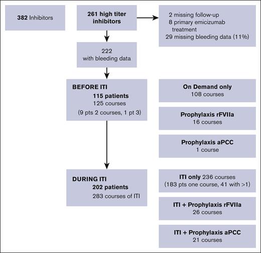 Flow diagram of available data on patients with high-titer inhibitors, born from 2000 to 2019.