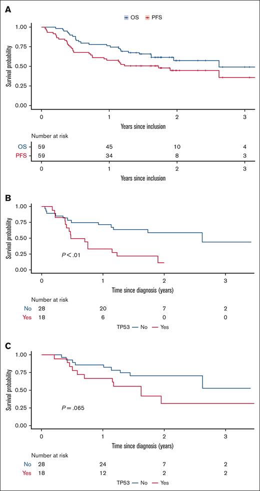 Survival. PFS and OS with VEN-LEN-rituximab (A). PFS and OS according to the (B) presence or (C) absence of a TP53 mutation.