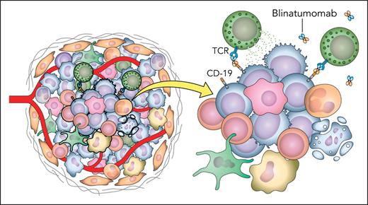 Depiction of the complex immune interactions and tumor microenvironment present in vivo. TCR, T-cell receptor. Professional illustration by Patrick Lane, ScEYEnce Studios.