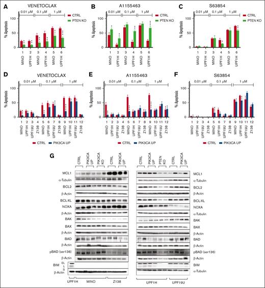 PIK3CA UP and PTEN KO leads to different sensitivities to BH3 mimetics. (A-F) Number of apoptotic cells 24 hours after exposure to the BH3 mimetics venetoclax (0.01, 0.1, and 1 μM), S63845 (0.01, 0.1, and 1 μM), and A1155463 (0.01, 0.1, and 1 μM). Apoptosis of the treated cells was normalized to the apoptosis of the untreated cells (n = 3). (G) Western blot analysis of selected BCL2 family proteins in PIK3CA UP and PTEN KO cell lines compared with the respective control MCL cell lines (for each sample, n = 2); data are represented by means ± SD; ∗P < .05; ∗∗P < .01; ∗∗∗P < .001; ∗∗∗∗P < .0001; (N) represents the number of biological replicates.