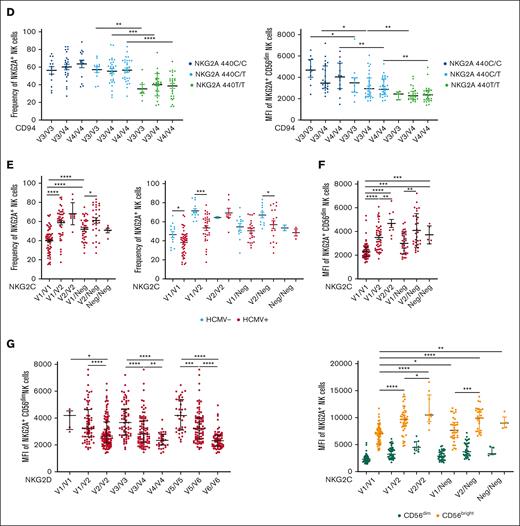 SNPs among KLR gene family members are in LD and associate with NKG2A expression. (A) KLR gene complex and SNPs targeted. (B) LD between selected NKG2C, NKG2D, and CD94 SNPs based on the genotyping of 204 healthy donors. Positive LD shaded blue; negative LD shaded red. (C) NKG2A frequency and MFI stratified by CD94 SNPs. (D) NKG2A MFI stratified by CD94 SNPs, in conjunction with NKG2A variants. (E) NKG2A+ NK cells frequency stratified by NKG2C SNPs and HCMV serostatus. (F) NKG2A MFI stratified by NKG2C SNPs and CD56 cell surface expression levels. (G) NKG2A MFI on CD56dim NK cells stratified using NKG2D SNPs. For panels C-E, t tests were performed, and mean ± SEM is presented to analyze NKG2A frequencies. For panels C-D,F-G, Mann-Whitney tests were performed, and median ± IQRs are presented to analyze NKG2A MFI. LD was assessed using the χ2 test for panel B. Symbols represent individual samples. ∗P < .05; ∗∗P < .01; ∗∗∗P < .001; ∗∗∗∗P < .0001.