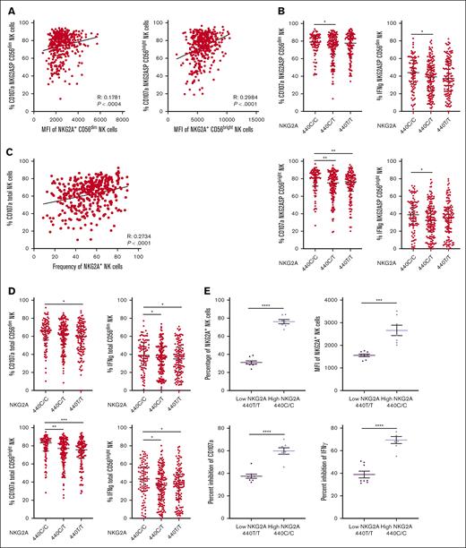 NKG2A surface density and frequency impact NK cell responsiveness. (A) Correlation between NKG2A MFI and degranulation of NKG2A+ CD56dim and CD56bright NK cells in a CD107a. (B) NKG2A-SP CD56dim or CD56bright NK cell degranulation and IFN-γ frequency stratified by SNP rs2734440 (440C represents rs2734440 T). (C) Correlation between NKG2A+ NK cell frequency and global NK cell degranulation. (D) Total NK cell degranulation and IFN-γ frequency in CD56dim or CD56bright NK cell stratified by SNP rs2734440. (E) Total NK cell inhibitability, measured by inhibition of CD107a and IFN-γ response in a killing assay against K562 HLA-E KO or K562 transduced with HLA-E in NKG2A high (440 C/C, n = 7) and low (440 T/T, n = 8) expression groups, as defined by the NKG2A genotype. Correlations were assessed using the Pearson correlation coefficient for panels A,C. Mann-Whitney tests were performed and median ± IQRs are presented in panels B,D. For panel E, t tests were performed, and mean ± SEM is presented. Symbols represent individual samples. ∗P < .05; ∗∗P < .01; ∗∗∗P < .001; ∗∗∗∗P < .0001.