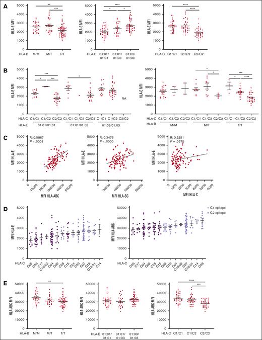 HLA-E expression depends on the quantity of HLA class I signal peptide available and associates with HLA-C epitopes. All HLA MFI were measured on CD3+ CD56– T cells. (A) HLA-E MFI segregated by HLA-B leader peptide, HLA-E allele, or HLA-C epitope. (B) HLA-E MFI is segregated by HLA-E and HLA-C epitopes or by HLA-B leader peptide and HLA-C epitopes. (C) Correlation between HLA-E MFI and HLA class I expression, as measured by anti-HLA-ABC, anti-HLA-BC, and anti-HLA-C. (D) HLA-ABC and -E MFI grouped by HLA-C alleles, color-coded by HLA-C KIR ligand epitope, and ranked in ascending order. (E) HLA-ABC MFI segregated by HLA-B leader peptide, HLA-E allele, and HLA-C epitope. For panels A-B,E, t tests were performed, and mean ± SEM is presented. Correlations were assessed using the Pearson correlation coefficient for panel C. Symbols represent individual samples. ∗P < .05; ∗∗P < .01; ∗∗∗P < .001; ∗∗∗∗P < .0001.