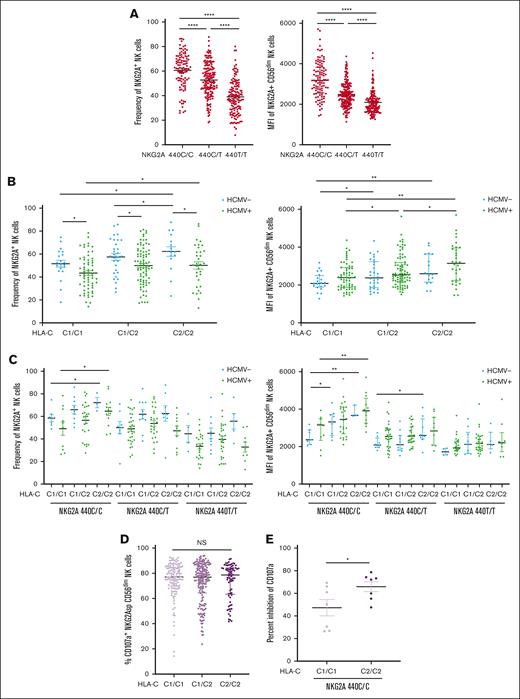 HLA-C epitopes impact NKG2A expression and NK cell function. (A) NKG2A+ NK cell frequency and MFI stratified by the SNP rs2734440 in 400 healthy blood donors. (B) NKG2A+ NK cell frequency and NKG2A MFI stratified by the HLA-C KIR ligand epitope and HCMV serostatus. (C) NKG2A+ NK cell frequency and MFI stratified by HLA-C epitope, NKG2A SNP genotype, and HCMV serostatus. (D) Degranulation response of NKG2A-SP CD56dim NK cells to K562 HLA-E KO segregated by HLA-C KIR ligand epitope. (E) Global NK inhibition in C1/C1 and C2/C2 in HCMV+ individuals with the NKG2A 440C/C (high) genotype, as measured by change in CD107a response to K562 HLA-E KO vs K562 transduced with HLA-E. For panels, A-C,E, t tests were performed, and mean ± SEM is presented to analyze NKG2A frequencies. Mann-Whitney tests were performed and median ± IQRs are presented to analyze NKG2A MFI for panels A-C. Symbols represent individual samples. ∗P < .05; ∗∗P < .01; ∗∗∗P < .001; ∗∗∗∗P < .0001.