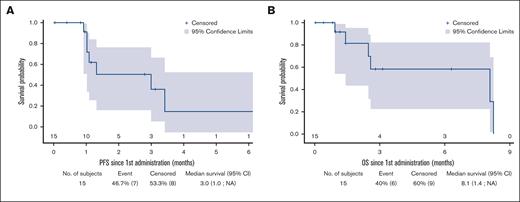 Outcomes after CAR T-cell infusion. PFS (A) and OS (B) after CAR T-cell infusion in the TL-pre-CAR-T set.