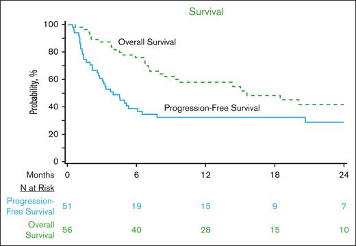 OS and PFS of patients with relapsed THRLBCL treated with CD19-CART therapy in the CIBMTR registry.