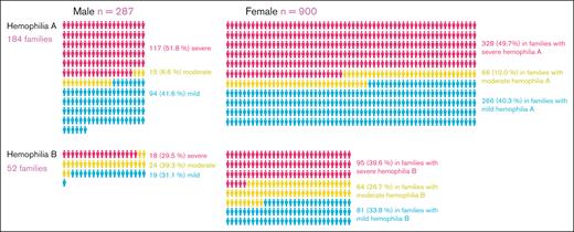 Overview of the study cohort, comprising 236 families. In these families, there were ∼3 times as many female individuals who were potential or obligate carriers of hemophilia, based on their position in the family pedigree, compared with male probands. The severities of hemophilia affecting the families are depicted in red (severe), green (moderate), and blue (mild).