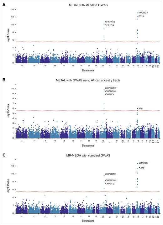 Manhattan plots of the association between SNPs and stable warfarin dose after pooling 6 African ancestry cohorts in a meta-analysis, gene-based analysis (n = 1504 participants). Individual GWAS analyses were undertaken using logarithm transformed stable warfarin dose, adjusted for age, sex, weight, target INR range, simvastatin/amiodarone status, and either the first 10 principal components of genetic ancestry or the proportion of the specific ancestry per chromosome by frequentist association testing assuming an additive model of inheritance before being pooled using METAL or MR-MEGA. The red horizontal lines represent the Bonferroni corrected significance thresholds (0.05 divided by the number of protein coding genes) and included 2.7 × 10−6 (18 244 genes), 2.7 × 10−6 (18 231 genes), and 2.7 × 10−6 (18 244 genes) for (A) METAL meta-analysis with standard GWAS, (B) METAL meta-analysis with GWAS using African ancestry tracts, and (C) MR-MEGA meta-analysis with standard GWAS, respectively. Some top genes are annotated. CYP2C9/18, cytochrome P450, family 2, subfamily C, polypeptide 9/18; KAT8, lysine acetyltransferase 8; VKORC1, vitamin K epoxide reductase complex, subunit 1.