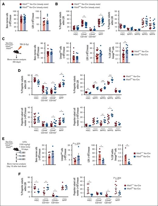 NFAT5 supports the reconstitution of hematopoietic progenitors after γ irradiation or treatment with 5-FU. (A) Number of bone marrow (n = 18 mice) and LSK cells (n = 7 mice) per mouse from WT (Nfat5+/+ Vav-Cre) or hematopoietic cell–specific NFAT5-deficient (Nfat5fl/fl Vav-Cre) mice. (B) Percentage of the indicated hematopoietic stem and progenitor populations in the bone marrow of Nfat5+/+ Vav-Cre or Nfat5fl/fl Vav-Cre mice. n = 20 to 21 mice of each genotype in the left panel, and 11 on the right. (C-D) Analysis of bone marrow from Nfat5+/+ Vav-Cre or Nfat5fl/fl Vav-Cre mice at 55 days after TBI (5 Gy). A schematic diagram of the experiment is shown in panel C (left). Bone marrow cellularity, number of lineageneg, number and percentage of LSK cells (C, right), and percentage and number of hematopoietic progenitor populations (D) are shown. n = 10-17 mice of each genotype from 2 independent experiments in panel C and the left panels in panel D; n = 6-10 mice from 1 experiment in the right panels of panel D. (E-F) Analysis of bone marrow from Nfat5+/+ Vav-Cre or Nfat5fl/fl Vav-Cre mice treated with a regime of 3 consecutive doses of 5-FU (150 mg/kg) administered every 10 days. A schematic diagram of the experiment is shown in panel E (left). Bone marrow cellularity, number of lineageneg, number and percentage of LSK cells (E), and percentage and number of hematopoietic progenitor populations (F) are shown. n = 5-7 mice in panels E-F. Results are shown as mean ± standard error of the mean (SEM). Statistical test: unpaired t test. ∗P < .05, ∗∗P < .01, ∗∗∗P < .001. P values < .1 are also indicated.