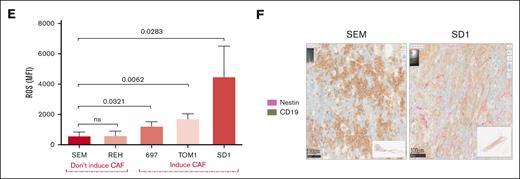 B-ALL cells directly stimulate MSCs to become CAFs. (A) Photomicrographs (magnification ×20) showing phalloidin/DAPI staining of HS27a MSCs after coculture with a series of ALL cell lines of different genetic subtypes, as indicated, alongside a gene expression panel showing fold upregulation (Y axis) of the 18-gene CAF panel compared with mean baseline of HS27a MSCs. (B) Cytokine bead assays for IL-6, IL-8, and CCL2 (pg/mL, Y axis) following coculture of HS27a MSCs with SEM or SD-1 ALL cells and controls of each cell alone, as indicated on the X axis. Mean and standard error of mean from 3 independent experiments are shown. P values for comparisons between HS27a + SEM and HS27a + SD-1 by unpaired t test are .0004 (IL-6), <.0001 (IL-8), and .0005 (CCL2). (C) Photomicrographs (magnification ×40) showing phalloidin/DAPI staining of 2 normal healthy donor (HD1, HD9) MSCs after coculture with 4 different primary patient ALL samples, 1-285, 1-456, 1-475, and 1-479. (D) IL-6, IL-8, and CCL2 (pg/mL, Y axis) secreted by HD1 and HD9 MSCs after coculture with the 4 individual primary patient ALL samples. (E) Mean fluorescent intensity (Y axis) of ROS after CellROX Green staining of the panel of ALL cell lines used in panel A. Mean and standard error of mean from 3 independent experiments are shown. (F) Representative sections of femur from NSG mice with established leukemia derived from SD-1 or SEM cells stained by CD19 (grayish brown) or nestin (pink).