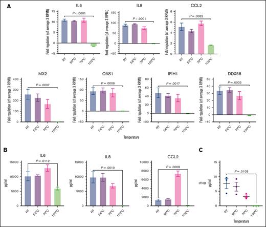 Degradation of mtdsRNA in SD-1 conditioned medium by 100°C heat treatment prevents the IFN response and the MSC to CAF transition. (A) Fold regulation of CAF gene (IL-6, IL-8, and CCL2) and IFN pathway gene (MX2, OAS1, IFIH1, and DDX58) expression (Y axes) in HS27a cells exposed to SD-1 cell conditioned media heated to different temperatures (X axis). Bars show mean and standard error of the mean of 3 independent experiments. (B) Cytokine bead assays for IL-6, IL-8, and CCL2 (pg/mL, Y axis) following exposure of HS27a MSCs to SD-1 cell conditioned media heated to different temperatures (X axis). Mean and standard error of mean from 3 independent experiments are shown. (C) IFN-β (pg/mL, Y axis) secreted by HS27a MSCs exposed to SD-1 cell conditioned media heated to different temperatures (X axis). Three independent replicates are shown. RT, room temperature.