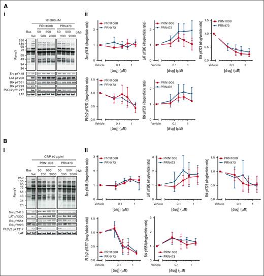 PRN1008 and PRN473 inhibit CLEC-2– and GPVI-mediated signaling. (A-B) Healthy donor–washed platelets (4 × 108/mL) were incubated with vehicle (0.02% DMSO) or indicated concentration (50, 200, 500, or 2000 nM) of Btk inhibitors PRN1008 and PRN473 for 1 hour, then stimulated with snake venom toxin rhodocytin 300 nM (A) or CRP 10 μg/mL (B) for 180 seconds in the presence of eptifibatide (9 μM) and lysed with reducing sample buffer. Whole cell lysates were then separated by sodium dodecyl sulfate–polyacrylamide gel electrophoresis (SDS-PAGE) and western blotted for tyrosine phosphorylation of indicated proteins. Total LAT was used as a loading control. Representative western blots (i) and normalized densitometry quantification (ii). Mean ± standard error of the mean (SEM) of 4 identical experiments. Bas, basal; Veh, vehicle; pan-pY, panphosphotyrosine.