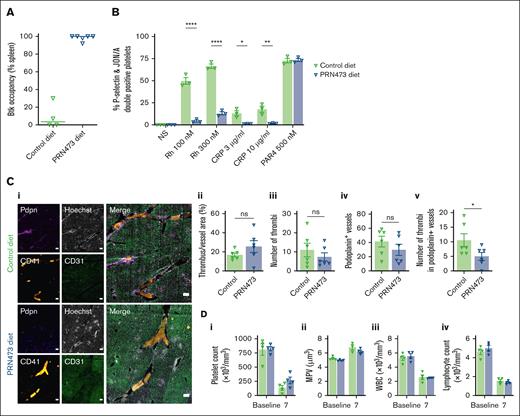 PRN473 reduces Salmonella-induced liver thrombosis in mice. (A-B) WT mice were fed control or PRN473 formulated diet for 7 days, then had spleens harvested for Btk occupancy analysis (A) or citrated whole blood taken for platelet activation analysis by flow cytometry (B), indicated by activated integrin αIIbβ3 (JON/A) and P-selectin surface expression, after stimulation with snake venom toxin rhodocytin (100 and 300 nM), CRP (3 and 10 μg/mL), or PAR4 receptor activating peptide (500 nM). Mean ± SEM (n = 3). Statistical analysis by 2-way ANOVA with Sídák correction for multiple comparisons. (C) WT mice fed control or PRN473 formulated diet were infected with 5 × 105 CFU S typhimurium on day 7, with thrombi in portal vein assessed at day 14 (7 days after infection). Representative immunohistochemistry staining of frozen liver sections (scale bar, 200 μm) (i) and quantification of thrombus area per unit vessel area (ii), quantification of number of thrombi (iii), quantification of number of podoplanin-expressing vessels (iv), number of thrombi in podoplanin-positive levels (v) (n = 6). (D) Peripheral blood counts of S typhimurium–infected mice at baseline and 7 days after infection. Mean ± SEM (n = 4). (A-B) ∗P < .05; ∗∗P < .01; ∗∗∗∗P < .0001. CFU, colony forming units; WT, wild type.