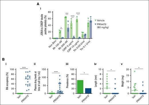 PRN473 inhibits IVC thrombosis in mice. (A) WT mice were gavaged daily with vehicle or PRN473 (80 mg/kg) for 4 days, then had platelet activation measured in citrated whole blood by flow cytometry, as indicated by activated integrin αIIbβ3 (JON/A) and P-selectin surface expression, after stimulation with snake venom toxin rhodocytin (100 and 300 nM), CRP (3 and 10 μg/mL), or thrombin (0.03 and 0.1 U/mL). GPRP was added to thrombin stimulation to prevent fibrin clot formation. Mean ± SEM (n = 3). Statistical analysis by 2-way ANOVA with Sídák correction for multiple comparisons. (B) IVC stenosis model of DVT was performed on WT mice gavaged with vehicle or PRN473 (80 mg/kg) for 4 days. Mice were euthanized 6 hours after IVC ligation and had spleens harvested for Btk occupancy analysis (i) and citrated plasma taken for drug concentration measurements (ii), and assessment for thrombus prevalence (iii), length (iv), and weight (v). Median: n = 16-18 mice per condition for splenic Btk occupancy and thrombus analysis; n = 17-21 mice per condition for plasma drug concentration measurements. Statistical analysis by Mann-Whitney test. ∗P < .01; ∗∗∗P = .0002; ∗∗∗∗P < .0001. GPRP, Gly-Pro-Arg-Pro; Veh, vehicle; WT, wild type.