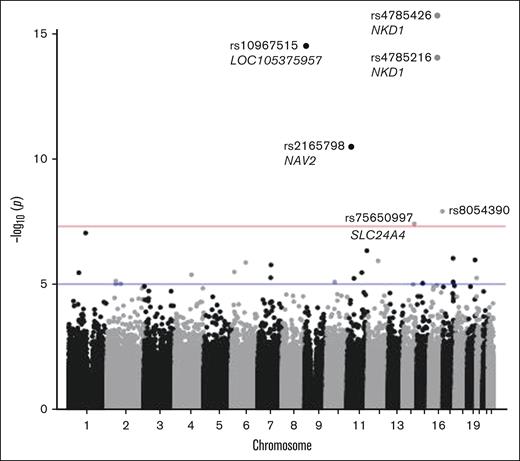 ITP case-control analysis Manhattan plot. Six variants met the threshold for genome-wide significance. Genome-wide significance threshold is P < 5 × 10−8 (red line) and suggestive genome-wide significance, P < 1 × 10−5 (blue line).