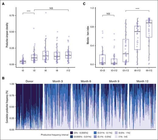 TCR diversity restricted during the first year after HSCT. (A) Evolution of TCR-productive Simpson clonality before allo-HSCT (t0, n = 53) in donors and at serial time points t3 (n = 54), t6 (n = 52), t9 (n = 47), and t12 (n = 48) after allo-HSCT in recipients. (B) Fractal clonal size organization defined by the productive frequency of clones at the indicated time points (t0, n = 53; t3, n = 54; t6, n = 52; t9, n = 47; and t12, n = 48). Each bar represents a single individual. The color-coded legend bar represents stratification according to the productive frequency of the individual clone. (C) TCR repertoire overlaps between donor and recipient and between post-HSCT time points in recipients calculated using the Morisita-Horn index. Morisita-Horn indices vary between 0 (no overlap) and 1 (complete overlap) and are represented along the y-axis. Box plots display medians and IQRs, with whiskers representing 1.5× IQR. Wilcoxon rank-sum test with false discovery rate correction in panel A. Kruskal-Wallis test and post hoc Dunn test in panel C. All P values were 2-sided. Statistical thresholds: ∗∗∗∗P < .0001. NS, not significant.