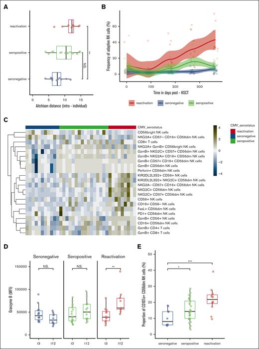 NK-cell compartment restoration in relation to CMV serostatus and infection/reactivation. Stratification according to the following groups: seronegative (n = 17), seropositive (n = 18), and reactivated (n = 12) CMV recipients applies to plots (A-E). (A) Intraindividual distance (Aitchison distance) between 3 and 12 months after HSCT among stratified groups based on 62 manually gated cell frequencies. (B) Evolution of the CD57+, NKG2C+ CD56dim adaptive NK cells at 1-year follow-up after HSCT stratified among the groups fitted using LOESS regression with a 95% confidence interval. Color-coded lines represent linear regression according to the cell subset. (C) Heat map of the frequency of cell subsets at 12 months that were statistically different between CMV seronegative (green) and CMV reactivated (blue) recipients. Heat map rows display cell subsets and are colored by the z score normalized per row. Each column represents the recipient. (D) Granzyme B expression (MFI) in KIR2DL2L3S2+ NKG2C+ CD56dim NK cells among stratified groups at 3 and 12 months after HSCT. (E) Frequency of CD107a+ CD56dim NK cells in stratified groups: seronegative (n = 17), seropositive (n = 18), and reactivated (n = 12). Box plots display medians and IQRs, with whiskers representing 1.5× IQR. Wilcoxon rank-sum test in panels A,C-E. All P values were 2-sided. Statistical thresholds: ∗P < .05; ∗∗P < .01; ∗∗∗P < .001. MFI, mean flurorescence intensity.