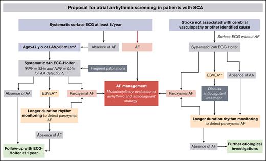 Proposal for AA screening in patients with SCA. ∗If 1 criterion among age or LAVi is present and ∗∗ESVEA.
