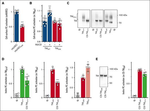 Cofactor activity of TM. (A) PC activation measured on the surfaces of HUVEC and HUVEC536. (B) HEK293 cells expressing EPCR and TMWT or TM539 were treated (+) or not (−) with 10 mM MβCD for 20 minutes before starting the PC activation protocol, and PC activity was measured. (C) Immunoblot detection of the indicated sTM and their CS-devoid counterparts accumulated in the CM. TMCS+ indicates the position of the CS-modified TM, and Ø indicates the absence of the TM. (D) FIIa-dependent PC activation measured in vitro in the presence of the same amount of the indicated sTM. (E) Immunoblot detection of soluble CS-TM536 and CS-TM514 and their efficacy as cofactors in PC activation. Relative PC activities (mean ± SD) obtained after 30 to 50 minutes of PC substrate conversion are shown. Statistical analyses were performed using unpaired t test. ∗P < .05; ∗∗P < .01; ∗∗∗P < .001. CS-TM, CS-devoid TM; MβCD, methyl-β-cyclodextrin.