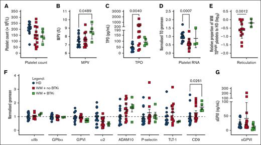 WM platelets have altered thrombopoietic and age-related phenotypic markers. (A) Platelet count, (B) mean platelet volume (MPV), (C) serum thrombopoietin (TPO), (D) normalized thiazole orange (TO) staining of platelets in WB (divided by HD mean), (E) relative proportion of TObright WM platelets falling within the gate encompassing the top 10% of HD platelets (log10 WM/HD %), (F) platelet surface receptor levels in PRP and (G) sGPVI levels in platelet-poor plasma (PPP) from HDs (n = 9-15, blue), patients with WM not on therapy (n = 9-13, red), or receiving BTKis (n = 0-5, green). For panels A-C,E,G, mean +/± SD. For panels D,F, normalized geomeans (divided by mean HD geomean) ± standard error of the mean (SEM). For panels A-C, P values were determined by Kruskal-Wallis 1-way analysis of variance (ANOVA) with Dunn's multiple comparisons test, performed on the raw data; for panel E, Mann-Whitney t test; or for panel E, 1 sample t test.