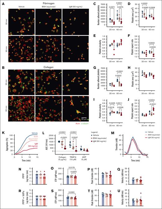 High concentrations of WM-derived IgM impair platelet spreading, aggregation, and thrombin generation. HD WP spreading (n = 4-5) for 20-60 minutes on (A,C-F) fibrinogen or (B,G-J) collagen, then visualized for actin (red) and α-tubulin (green), in the presence of (C-F,G-J) vehicle (blue), BSA (equimolar to IgM, 4.11 mg/mL, pink), or IgM (60 mg/mL, red). (C,G) Number of adhered platelets; (D,H) platelet surface area; (E,I) circularity; or (F,J) aspect ratio, average of 5 field of views. (K) Representative aggregation trace, mean of duplicates. (L) WP aggregation responses to collagen (5 μg/mL), TRAP-6 (10 μM), and ADP (5 μM). (M) Representative thrombogram, mean of duplicates. Thrombin generation in HD samples (n = 8), with (N,R) lag time, (O,S) ETP, (P,T) peak thrombin generated, and (Q,U) thrombin generation velocity in PPP for panels N-Q or PPP + autologous WPs for panels R-U. For panel T, mean ± SD. P values were determined by 2-way ANOVA with multiple comparisons for panels C-F,G-J,L or Friedman test for panels N-U. AUC, area under the curve.