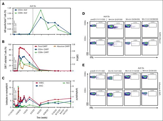 Antiviral T cells and CAR T cells in a patient with disseminated Adv infection. (A) Time course of peripheral blood AdV hexon protein–specific CD4+ (blue) and CD8+ (green) T cells. T cells specific for the AdV hexon protein were identified ex vivo after short-term stimulation of total PBMC using libraries of overlapping peptides covering the complete sequence of the protein (Miltenyi Biotec, catalog no. 130-093-496). Intracellular staining of cytokines followed by flow cytometry served as a readout assay. AdV-specific T cells were defined as interferon gamma–positive CD3+ T cells. Black arrows indicate time points when the patient received lymphodepleting (LD) chemotherapy or CAR T-cell therapy. The black dotted line indicates the time point at which the diagnosis of Adv infection was made. (B) CAR T-cell numbers and proportions of CD4+ and CD8+ CAR-Ts after LD chemotherapy and CAR T-cell infusion. The CAR T cells were identified by staining the expression of the CAR on the cell surface using BCMA CAR detection reagent (Miltenyi Biotec, catalog no. 130-126-090) and costaining with anti-CD3 and other T-cell markers. Samples were acquired using a Miltenyi MACSQuant Analyzer 10 Flow Cytometer. Analysis of Flow cytometry data was performed using FlowJo software (BD Biosciences, San Jose, CA). Black arrows indicate the time points at which the patient received LD chemotherapy or CAR T-cell therapy. The black dotted line indicates the time point at which the diagnosis of Adv infection was made. (C) Course of white blood cell, neutrophil, and lymphocyte counts over time. (D) Dot plots showing peripheral blood AdV hexon protein–specific CD4+ (lower row) and CD8+ (upper row) T cells at different time points after CAR T-cell infusion. The black dotted line indicates the time point at which the diagnosis of Adv infection was made. (E) Dot plots showing peripheral blood influenza NP protein–specific CD4+ (lower row) and CD8+ (upper row) T cells at different time points after CAR T-cell infusion. T cells specific for the influenza A (H1N1) NP protein were identified ex vivo after short-term stimulation of total PBMC using libraries of overlapping peptides covering the complete sequence of the protein (Miltenyi Biotec, catalog no. 130-097-278). ALC, absolute lymphocyte count; ANC, absolute neutrophil count; Dx, diagnosis; WBC, white blood cell.