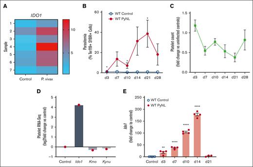 Plasmodium infection increased platelet Ido1. (A) Heat map of RNA-seq for IDO1 expression in platelets isolated from patients infected with P vivax and healthy controls. Individual bars represent samples derived from 7 controls and 7 patients with P vivax infection. (B) Percentage of SYBR+ parasitized RBCs measured at multiple time points using flow cytometry. (n = 5, ∗P < .05). (C) Platelet counts were obtained on multiple days after infection and expressed as fold change vs uninfected controls (n = 5). (D) RNA-seq of mouse platelets also revealed changes in Ido1 in a mouse infection model. (E) Platelet RNA was isolated from PyNL-infected mice and polymerase chain reaction performed for Ido1 expression at multiple time points. (∗P < 0,5, ∗∗P < .01, and ∗∗∗∗P < .0001).