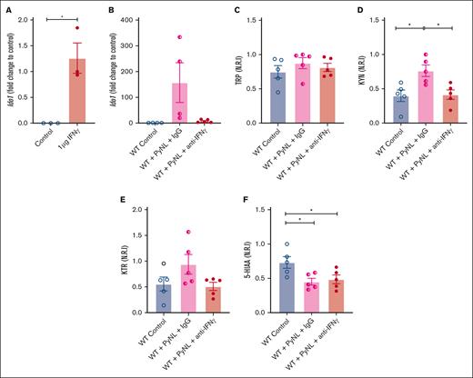 IFN-γ increases platelet Ido1 expression. (A) IFN-γ treatment increased platelet Ido1 expression (n = 3). (B) Anti-IFN-γ treatment during PyNL infection inhibited platelet Ido1 expression at day 7 after infection. Normalized relative intensity levels on day 7 of (C) TRP, (D) KYN, and (E) KTR as an indicator of IDO1 activity. (F) Normalized relative intensity levels of 5-HIAA at day 7 after infection (∗P < .05).