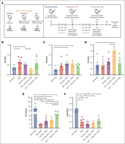 Platelet transfusions alter plasma TRP metabolites in P yoelii infection. (A) Schematic diagram of platelet transfusion experimental set up (created with BioRender.com). (B) TRP and (C) KYN levels obtained from LC-MS/MS. (D) KTR as a measurement of IDO1 activity. (E) Serotonin quantification measured by ELISA, and (F) 5-HIAA levels obtained from LC-MS/MS (∗P < .05, ∗∗P < .01, ∗∗∗P < .001).