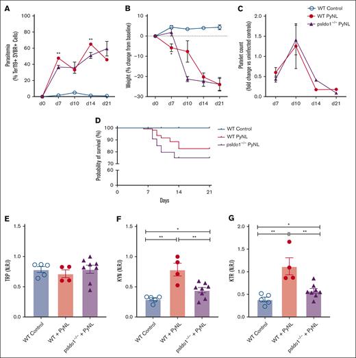 Platelet-specific Ido1−/− mice have altered plasma metabolites and decreased P yoelii infection survival. (A) Parasitemia was assessed by SYBR+ RBCs quantified by flow cytometry. No significant differences were found comparing both groups during PyNL infection. (B) Weight loss was tracked across time points for all groups and was similar except at day 10. (C) Platelet counts, shown as fold change to control, were similar between WT and psIdo1−/− mice during infection. (D) Kaplan Meier survival curve. PsIdo1−/− mice had decreased survival compared with WT control infected mice. (E-G) Normalized relative intensity on day 10 after infection for plasma (E) TRP, (F) KYN, and (G) KTR as a measurement of Ido1 activity. Data presented as mean ± standard error of the mean (SEM; ∗P < .05, ∗∗P < .01, ∗∗∗P < .001). Data were analyzed using unpaired 2-tailed Student t test.