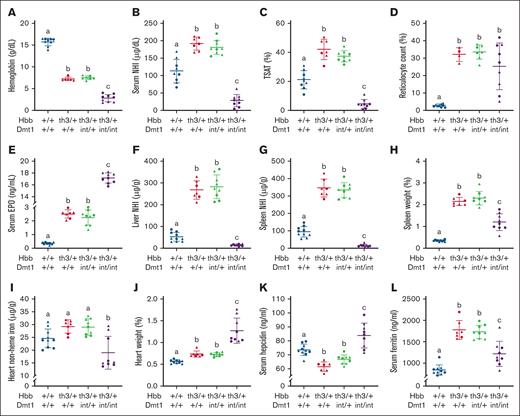 Lack of intestinal DMT1 causes iron depletion and exacerbates the anemia in Th3/+ mice. Tissue NHI levels, hematologic biomarkers, and serum hepcidin and serum EPO were assessed in male (triangles) and female (circles) littermates at 6 weeks of age. Shown are Hb (A), serum NHI (B), TSAT (C), retic count (D), serum EPO (E), liver NHI (F), spleen NHI (G), spleen weight (H), heart NHI (I), heart weight (J), serum hepcidin (K), and serum ferritin (L). Data are mean ± SD for n = 7 to 10 mice per group and were analyzed by 1-way ANOVA followed by Tukey multiple comparisons test. Groups labeled with different letters are significantly different from one another. Genotype main effects: P < .0001 for panels A,C,E-J; P < .001 for panels B,L; P < .01 for panels D,K.