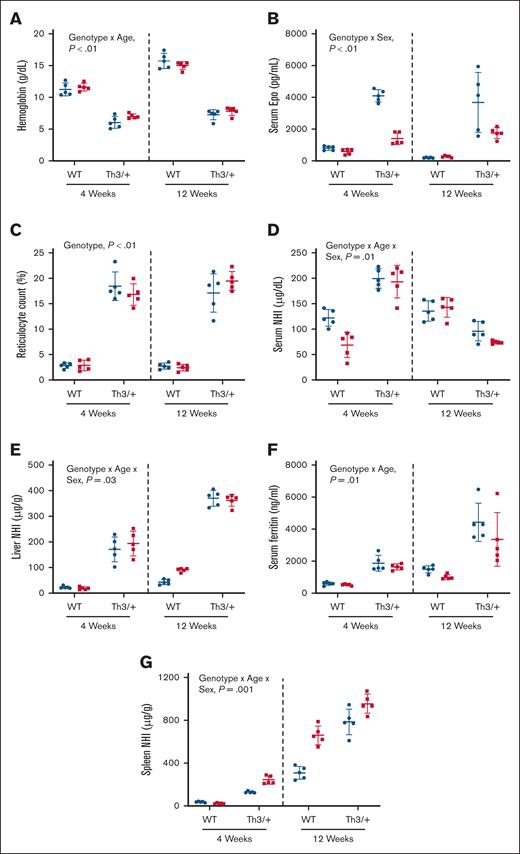 βTI mice are anemic and iron loaded by 4 weeks of age. Shown are blood Hb (A) levels, serum EPO (B), reticulocyte count (C), serum NHI (D), liver NHI (E), serum ferritin (F), and spleen NHI levels (G) in 4- and 12-week-old male (blue circles) and female (red squares) WT and Th3/+ mice. Data are presented as mean ± SD for n = 5 mice per group and were analyzed by 3-way ANOVA. Genotype, age, and sex interactions and main effect P values are shown in each panel.