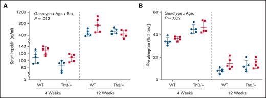 Circulating hepcidin is lower, and intestinal iron absorption is higher in 4-week-old Th3/+ mice. Serum hepcidin (A) and intestinal iron absorption (B) were quantified in 4- and 12-week-old male (blue circles) and female (red squares) WT and Th3/+ mice. Data are mean ± SD for n = 5 mice per group and were analyzed by 3-way ANOVA. Genotype, age, and sex interaction P values are shown in each panel.