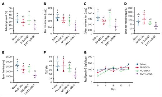 In vivo knockdown of intestinal DMT1 reduced reticulocyte counts and mitigated iron loading in Th3/+ mice. Reticulocyte counts (A), liver NHI (B), spleen NHI (C), serum NHI (D), serum ferritin (E), TSAT (F), and fecal lipocalin-2 levels (G) were quantified in 6-week-old male Th3/+ mice that had been treated with saline, empty NPs (FA-GDLVs), or with FA-GDLVs carrying NC, or DMT1 siRNA daily for 16 days. Data are presented as mean ± SD for n = 4 to 5 mice per group and were analyzed by 1-way ANOVA followed by Tukey multiple comparisons test. Groups labeled with different letters are significantly different from one another. Treatment main effects: P < .001 for panel E; P < .01 for panel B; P < .05 for panels A,C-D,F.