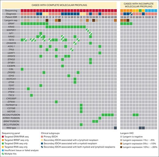 Mutational profile of IDCH.