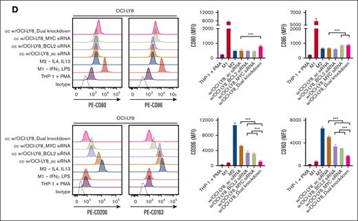 Upregulation of MYC/BCL2 in DLBCL cells promotes M2 polarization. The MYChigh/BCL2high cells, OCI-Ly8 and DOHH2, and the MYClow/BCL2low cells, HT and SUDHL-10, were cocultured using 0.4 μm-pore size Transwells with THP-1–derived macrophages that had been differentiated with 200 μg/mL phorbol 12-myristate 13-acetate (PMA) for 24 hours. Comparative analysis of the mRNA and protein expression levels of macrophage differentiation markers in cocultured macrophages was performed using qRT-PCR and flow cytometry, respectively. (A-B) Basal MYChigh/BCL2high and MYClow/BCL2low cells were cocultured with macrophages. (C) HT cells were transfected with MYC- or BCL2-expression vectors and cocultured with macrophages. (D) OCI-LY8 cells were transfected with siRNAs that targeted MYC or Bcl2 and were cocultured with macrophages. The data are presented as mean ± SEM of 3 independent experiments. ∗P < .05; ∗∗P < .01; ∗∗∗P < .001. IFN-γ, interferon gamma; LPS, lipopolysaccharide; MFI, mean fluorescence intensity; n.s., not significant.