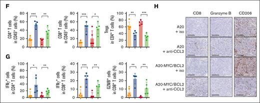 CCL2 is required for DE-DLBCL to promote tumor progression and an immunosuppressive TME. (A) MYC- and/or BCL2-stable expressing A20 cells and their phosphorylated p65 and CCL2 expression. (B) Experimental scheme. (C) BALB/c mice were subcutaneously implanted with MYC/BCL2-overexpressing A20 cells or control (con) A20 cells and then IP injected with clodronate or con liposomes as described above. Tumor growth was measured every 2 or 3 days. Tumors were resected 22 days postinjection (d.p.i.). (D) BALB/c mice were subcutaneously implanted with MYC/BCL2-overexpressing A20 cells or control A20 cells and then IP injected with anti-CCL2 nAbs, as described above. At 40 d.p.i, the mice were euthanized, and the tumor weight was measured. Tumor-infiltrating immune cells were analyzed using flow cytometry. The total number of macrophages and their macrophage differentiation markers expression (E), T-cell subsets (F), and IFN-γ or granzyme B producing T cells (G) are shown. Representative images of CD8, granzyme B, and CD206 immunohistochemical staining of tumor tissues (H). The data in the histograms are presented as mean ± SEM of 5 independent experiments. ∗P < .05; ∗∗P < .01; ∗∗∗P < .001. Scale bar, 200 μm. IFN-γ, interferon gamma; iso, isotype control; MFI, mean fluorescence intensity.