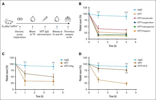 IVIg and IV.3 provide partial and full protection, respectively, from platelet destruction in vivo. (A) Study timeline of animal experiment. The VITT condition was recreated in FcγRIIa+/hPF4+ transgenic mice by the administration of VITT IgG. Anticoagulants, IVIg and IV.3 were administered via an osmotic pump and/or IV injection, as described in “Methods.” Platelet counts were assessed in mice after treatment with (B) anticoagulants (argatroban, bivalirudin, danaparoid, or UF heparin), (C) IVIg, and (D) aglycosylated IV.3. Data are shown as mean ± SD. ∗P < .05; ∗∗P < .01; ∗∗∗P < .001; ∗∗∗∗P < .0001, relative to VITT IgG. nIgG, normal IgG.