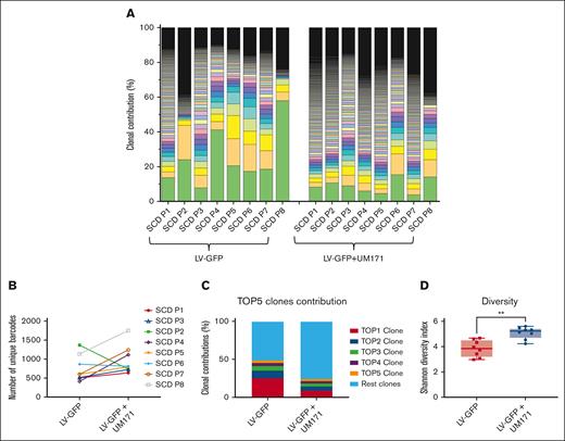 Effect of UM171 on clonality of barcoded engrafted BM cells. (A) Distribution of barcode frequencies detected in BM cells from transplanted NBSGW mice. Each color represents a distinct barcode. (B) Assessment of the number of unique clones from NBSGW mouse BM cells transplanted with CD34+ cells from different patients with SCD (noted P1-P8). Each data point represents an individual mouse transplanted with different patient’s cells. (C) The percentage of contributions of top 5 clones to engrafted BM harvested from transplanted mouse. (D) Shannon diversity index of barcodes from transplanted BM cells. Data represent mean ± SD, n = 8. ∗∗P < .01.