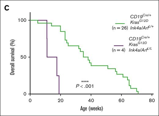 Loss of heterozygosity of the Ink4a/Arf (Cdkn2a) locus in pre-B-ALL. (C) Kaplan-Meier survival plot illustrating the impact of homozygous Ink4a/Arf deletion on survival of mice with KrasG12D mutation in the B-cell compartment. P values were calculated by using the log-rank test.