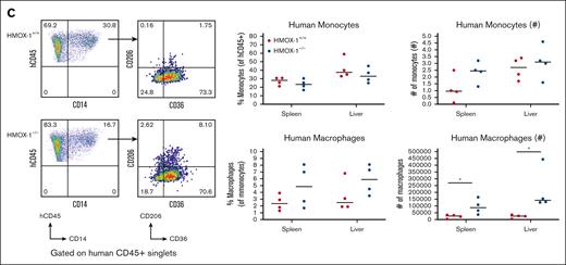 HMOX-1–/– HIS mice have reduced murine macrophages but no decrease in monocytes. HMOX-1–/– and HMOX-1+/+ MSRG47 mice were hHSC engrafted. At 12 weeks after engraftment, spleen and liver tissues were harvested for single-cell preparation. Mouse monocytes and macrophages were analyzed in spleen by examining mouse CD45+ leukocytes for CD11b+/CD14+ (monocytes), with macrophages denoted as mouse VCAM+/mouse F4/80+ cells (A). (B) For liver analysis, mouse CD45+ leukocytes were analyzed for CD11b+ cells (monocytes) and macrophages denoted as a subset of CD11b+ cells that are mouse VCAM+/mouse F4/80+. (C) Human monocytes and macrophages were analyzed in spleen and liver by examining human CD45+ leukocytes for CD14+ (monocytes) with CD36+/CD206+ macrophages examined as a subpopulation of human CD14+ cells in spleen and liver. At least 3 independent experiments were performed. Data represent the mean ± standard error of the mean, with individual mice shown. Statistical analysis was evaluated by unpaired Student t test. VCAM, vascular cell adhesion molecule.