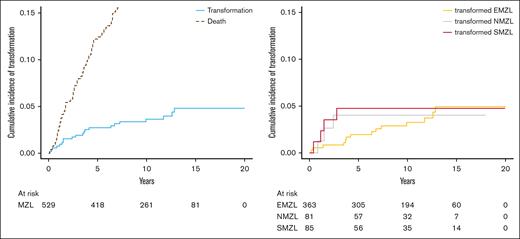 Cumulative incidence of transformation in the MER cohort. Cumulative incidence of transformation with competing risk of death for all MZL (left) and according to each subtype (right).