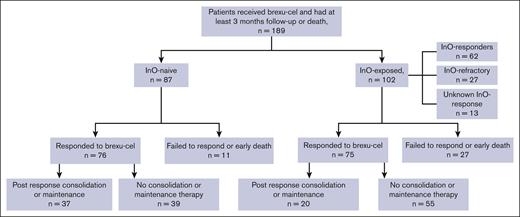 Treatment flow diagram.