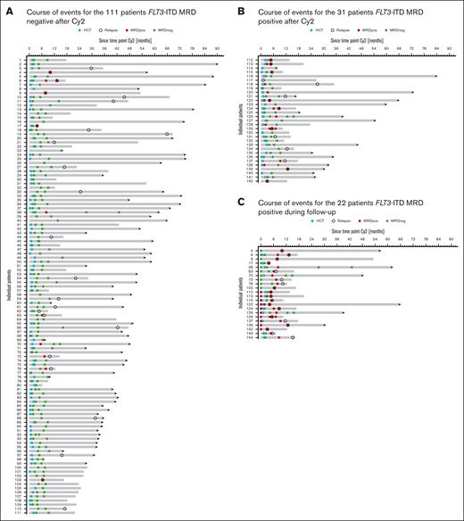 Individual disease and treatment course after Cy2 according to FLT3-ITD MRD status. (A) Course of events for the 111 patients who were FLT3-ITD MRD negative after Cy2 and (B) for the 31 patients who were FLT3-ITD MRD positive after Cy2. (C) Course of events for the 22 patients who were FLT3-ITD MRD positive during FU.