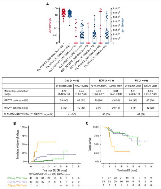 Paired FLT3-ITD and NPM1mut MRD status. (A) MRD kinetics of FLT3-ITD and NPM1mut and corresponding frequencies of MRDneg status of respective pts during therapy and early FU. (B) CIR and (C) OS according to FLT3-ITD MRD and NPM1mut MRD status after Cy2 (1 pt with FLT3-ITD MRDpos/NPM1mut MRDneg was excluded). Dx, diagnosis; pts, patients.