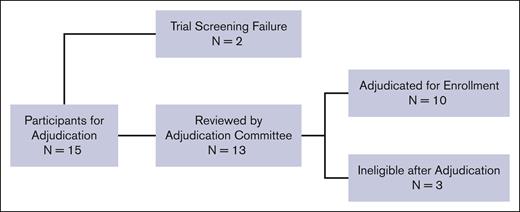 CONSORT diagram of participant enrollments that underwent adjudication for vaso-occlusive pain. A total of 15 patients were enrolled under the indication of severe vaso-occlusive pain. Two patients failed screening due to investigator decision and the presence of donor-specific antibodies, respectively, and were not reviewed by the adjudication committee. Thirteen were reviewed by the adjudication committee, and 10 were successfully adjudicated and enrolled. A total of 3 patients were deemed ineligible by adjudication.