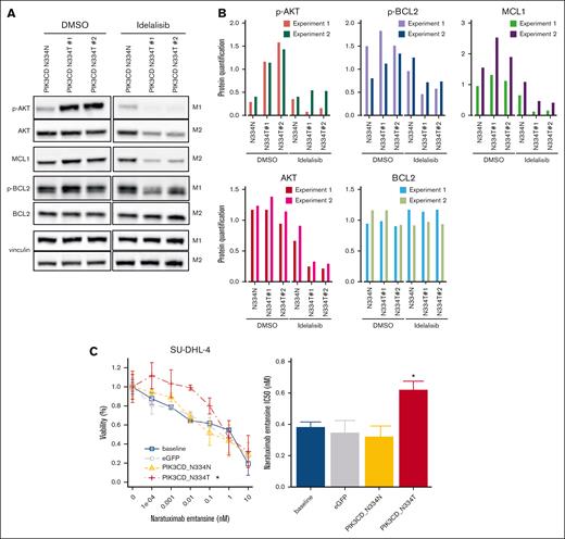 PIK3CD N334T mutation induces p-AKT, p-BCL2, and MCL1 and confers resistance to naratuximab emtansine in the SU-DHL-4 parental cells. (A) Immunoblotting for AKT/p-AKT, BCL2/p-BCL2, and MCL1 in SU-DHL-4 parental and resistant. Representative of 2 independent experiments. (B) Data on the bar plots represent the protein quantification (normalized to vinculin and DMSO). (C) Representative MTT results obtained in parental SU-DHL-4 cells that have undergone genome editing to induce PIK3CD N334T mutation (red) or, as controls, a silent mutation in the same locus (N334N; yellow) and in parental SU-DHL-4 cells undertreated (blue) or transfected with a EGFP only (gray). Bar plot corresponds to IC50 values. ∗P < .05. eGFP, enhanced green fluorescent protein.