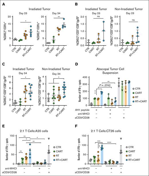RT/CART-19 combination treatment enhances crosspresentation of TAAs and T-cell responses to TAAs. (A) CD45.2+/CD11c+ DC infiltration in irradiated tumor on day 23 and day 34 after tumor challenge. (B-C) AH1-specific T-cell infiltration in irradiated and abscopal tumors on day 23 and day 34 after tumor challenge. (D) IFN-γ spots of an enzyme-linked immunospot (ELISPOT) assay after stimulation of tumor cell suspensions with AH1 peptide. (E) CD45.2+/CD3+ T cells isolated from treated mice stimulated with AH1 peptide and incubated with A20 tumor cells. (F) CD45.2+/CD3+ T cells isolated from treated mice stimulated with AH1 peptide and incubated with CT26 tumor cells. Graphs show the mean ± SEM. ∗P < .05; ∗∗P < .01; ∗∗∗P < .001; ∗∗∗∗P < .0001. CTR, control.